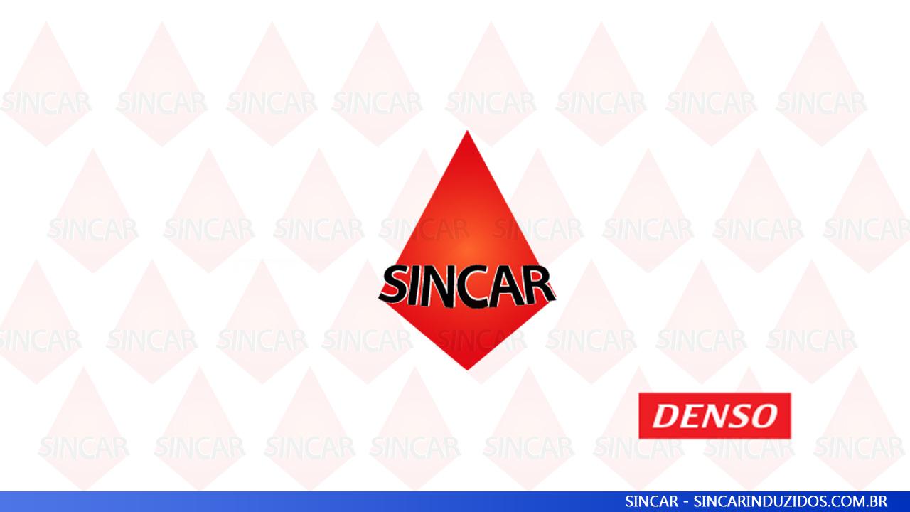 Sincar rotores DENSO 605966