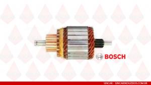 Induzido Sincar 605244